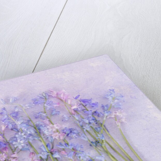 Bluebell flowers by Assaf Frank